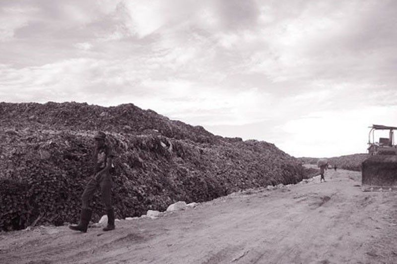 Binaliw landfill set to operate soon