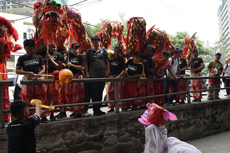 Chinese communities around world welcome Year of the Pig