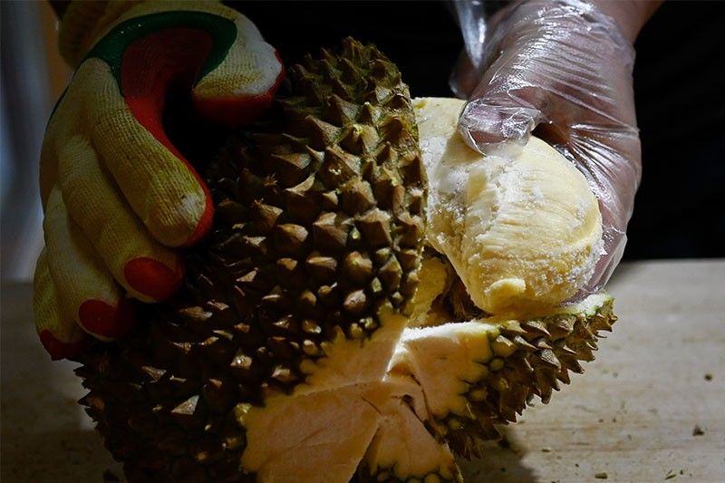 Chinese hunger for 'world's smelliest fruit' threatens Malaysian forests