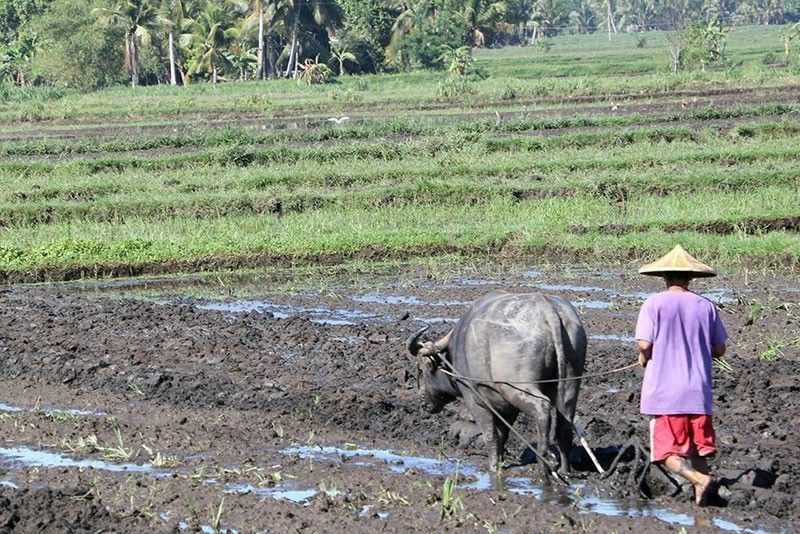 Land conversion aabutin  na lang ng 1 buwan