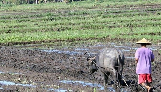 Land conversion aabutin  na lang ng 1 buwan
