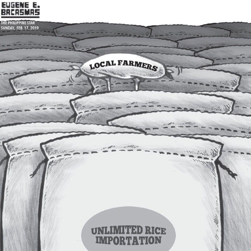 EDITORIAL - â��Unliâ�� rice imports