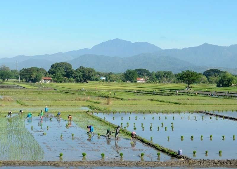 Duterte eyes Nueva Ecija farms for land reform
