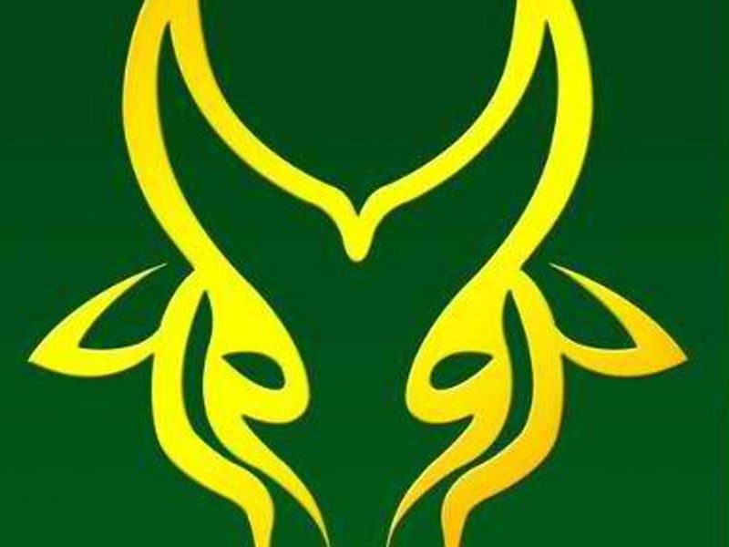 FEU slams 'cyberbullying' incident on student-athlete