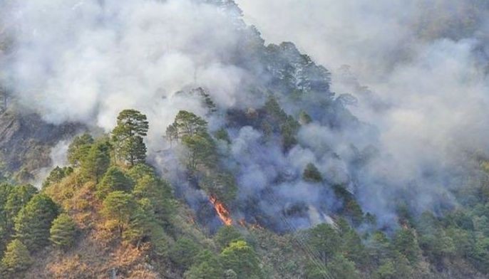 5 die in Benguet forest fire