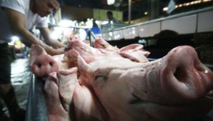 Pagbabawal sa importasyon ng karne ng baboy, ipatupad - AGAP