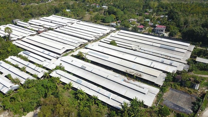 As charges filed vs owner, workers: Piggery fined P14 million