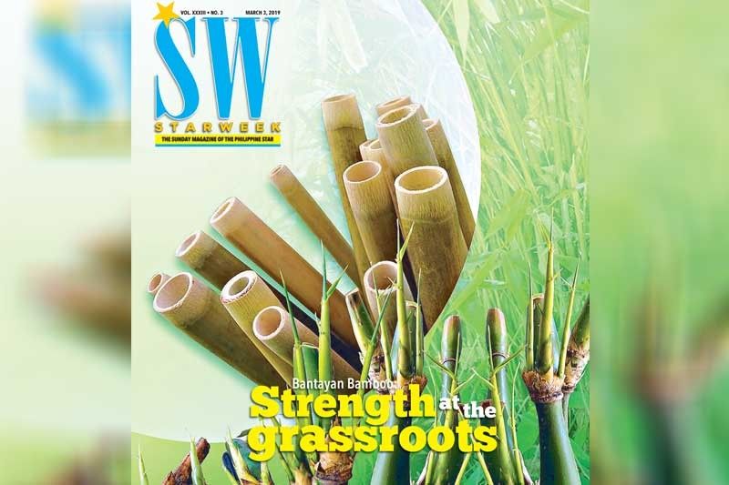 Bantayan Bamboo: Strength At The Grassroots