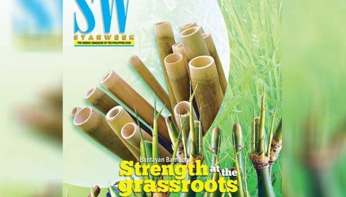 Bantayan Bamboo: Strength At The Grassroots