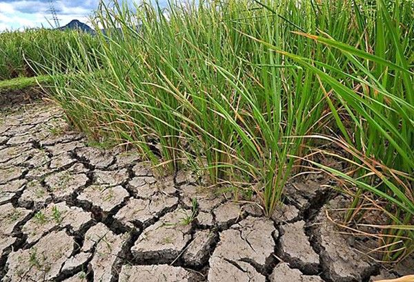 State of calamity sa 5 bayan ng N. Cotabato