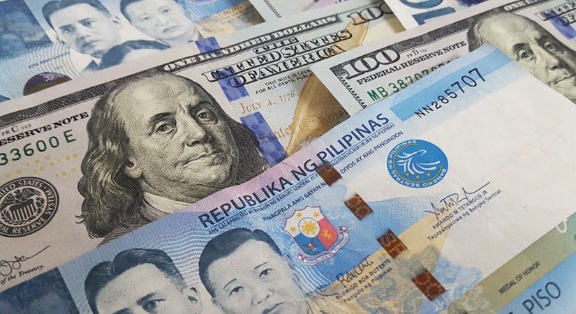 Govâ��t borrowings reach P947 B in 2018