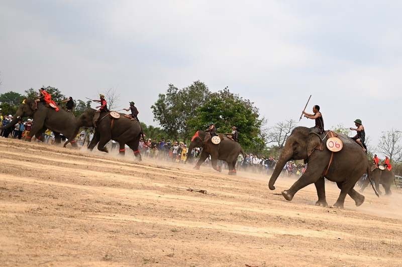 Vietnam's elephant race draws cheers, and critics
