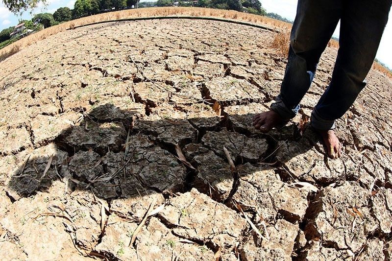 El NiÃ±o damage to agriculture rises to P1.33 billion