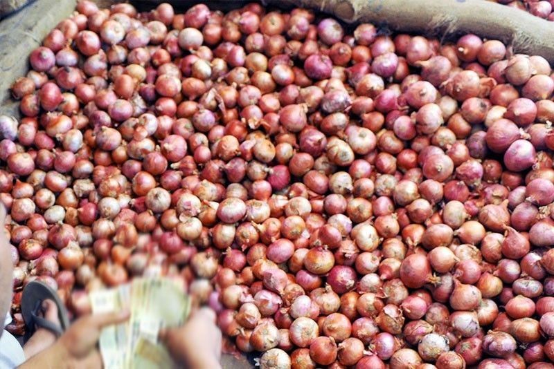 DA sets aside P200 million for onion farmers