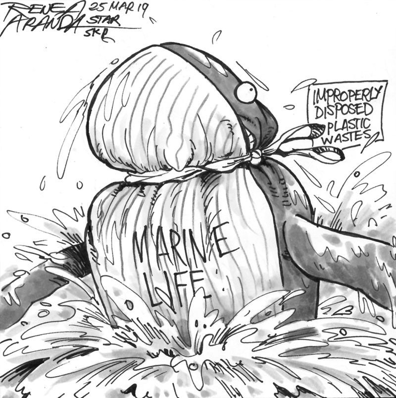 EDITORIAL - Whale killers