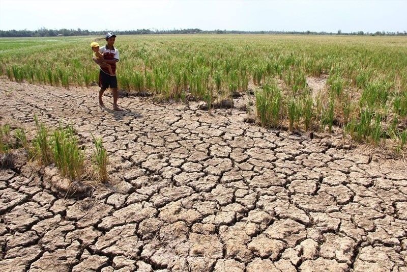 Pinsala dahil sa El NiÃ±o umabot nang P5B