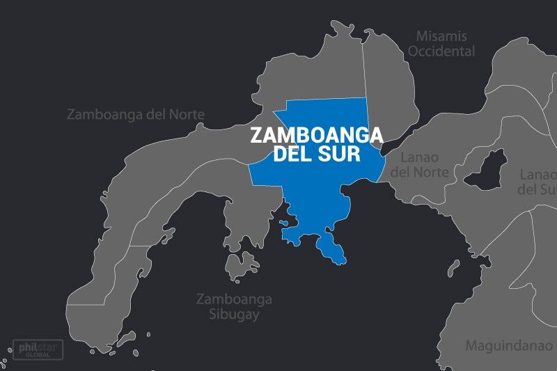 Rokok selundupan senilai P2,1 juta yang disita di Zamboanga del Sur