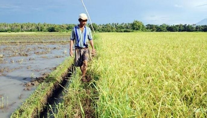 Ang Probinsyano, pro-agrikultura