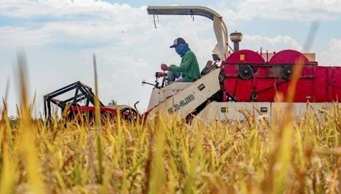 Subsidy sa rice farmers, hiling ng Ang Probinsyano