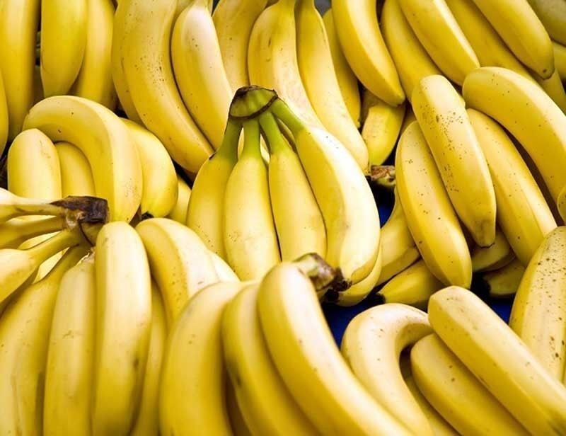 Philippines seeks easier entry of banana exports to Japan