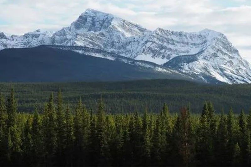 Bodies of three mountaineers found in Canada