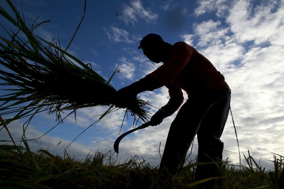 Drought to hit MM, 16  provinces in May â�� Pagasa