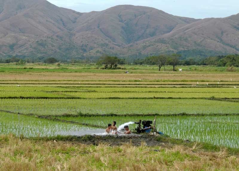 Irrigation to Bulacan, Pampanga only until mid-May â�� NWRB