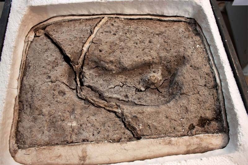 Footprint found in Chile is 'oldest' in Americas, scientists say