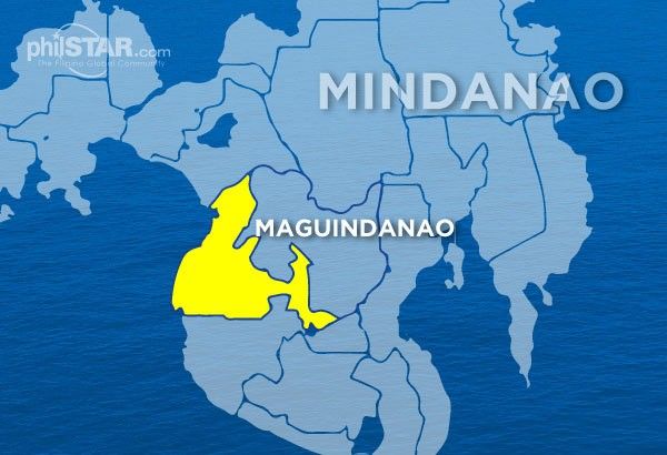 Suspected 'guns for fire' nabbed in Maguindanao
