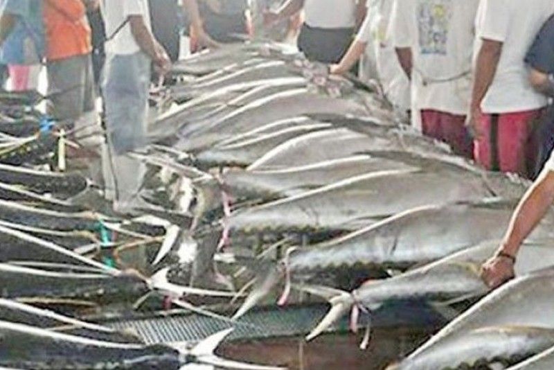 Senatoriables urged to ensure sustainable fisheries management