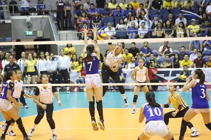 Tigresses puro na