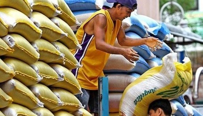 Philippines to import more rice despite higher production