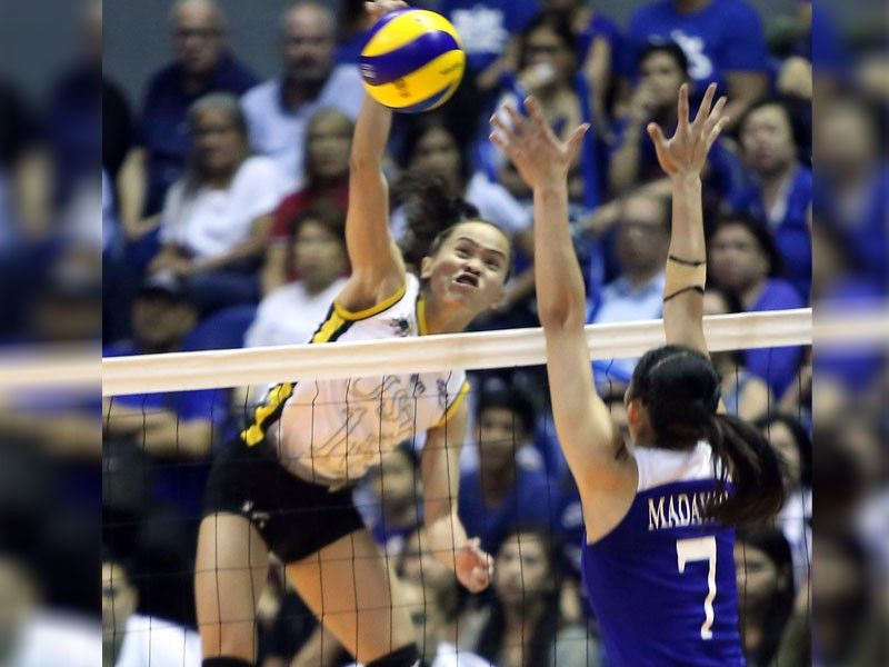 Rondina, Tigresses go for volley crown