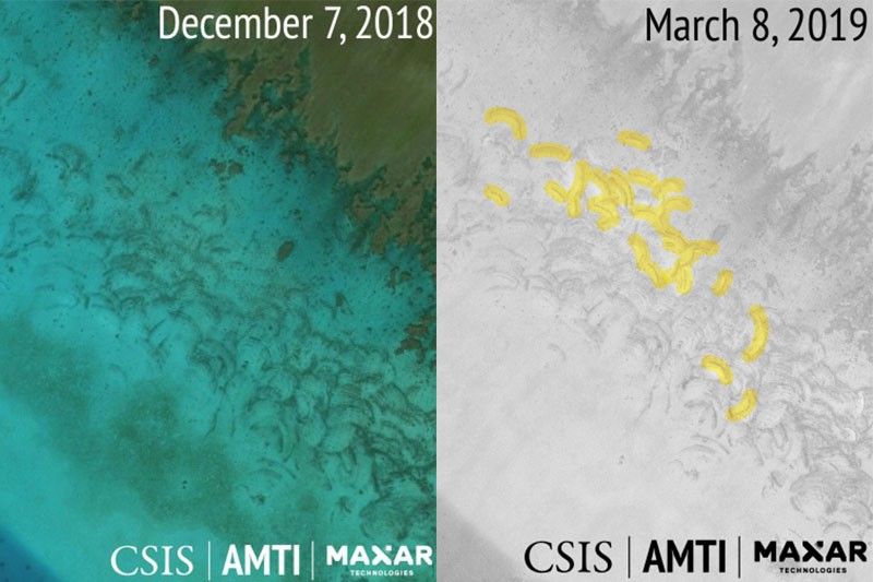 Satellite photos show new scarring on Scarborough Shoal from clam harvesting