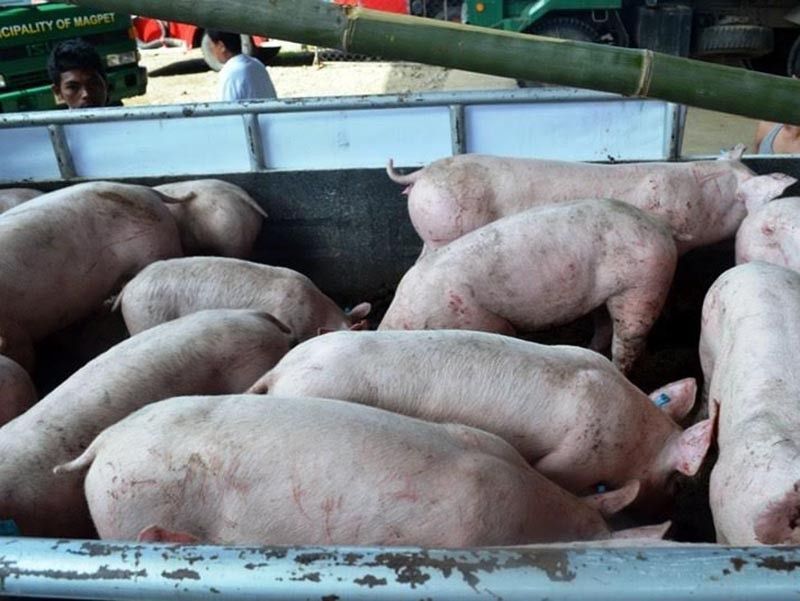 Pork products, pati Ma Ling, ipinatatanggal ng FDA dahil sa African Swine Fever
