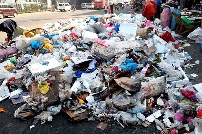 Volunteers collect 15 tons of garbage