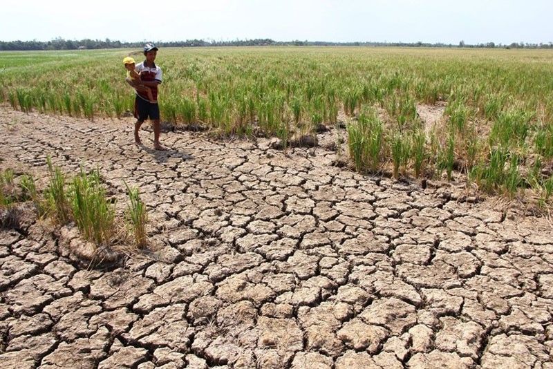 Negros agri damage due to drought hits P490.4 million
