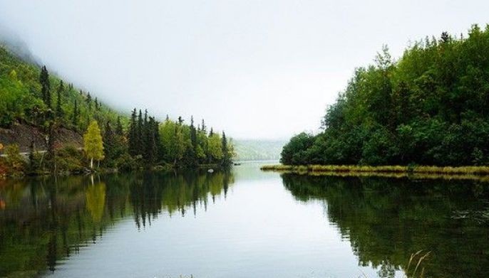 World's rivers loaded with antibiotics waste: study