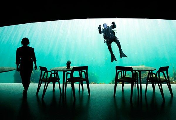 Descend, Eat, Marvel: Europe's first underwater restaurant