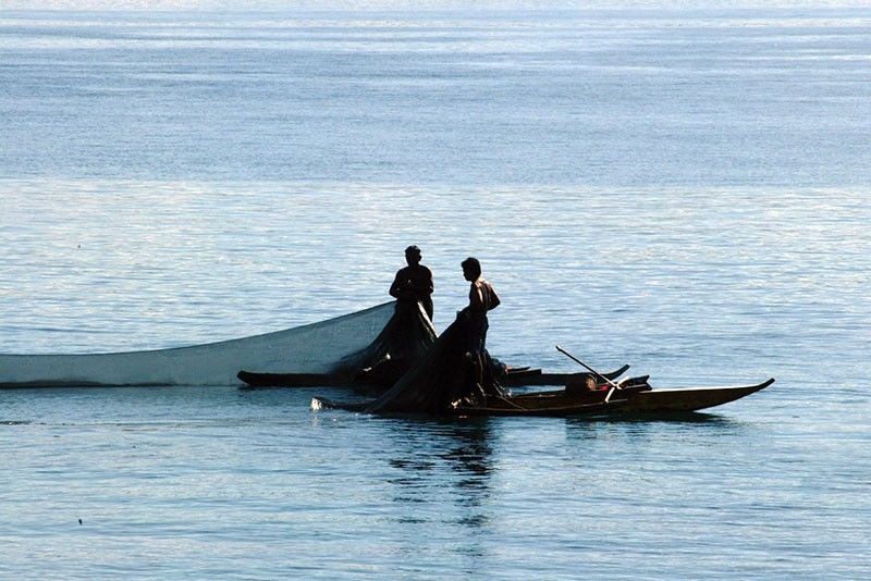Philippines loses P68.5 billion annually to illegal fishing â�� USAid