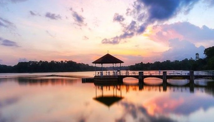Cleaning house