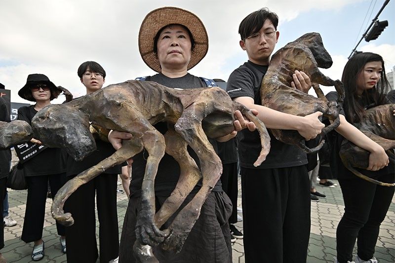 WATCH: South Korea dog meat protesters hounded by farmers