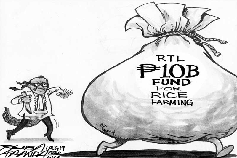 EDITORIAL  - Rice competitiveness