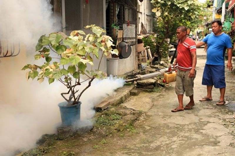 EU gives P5.7M to fight surge in dengue cases