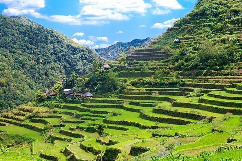 Ifugao State University assesses condition of rice terraces ...