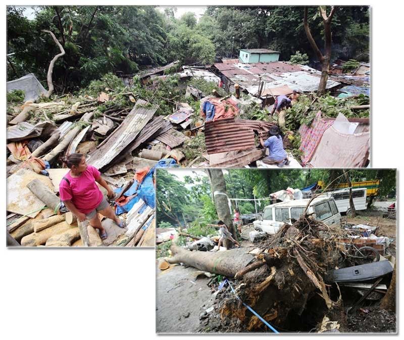 Woman dies after tree falls on house