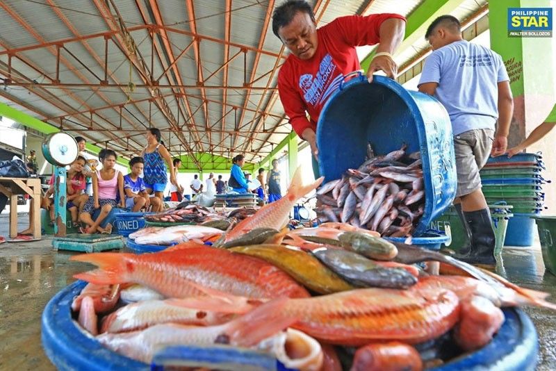 Fisheries department needed to make local aquaculture a powerhouse