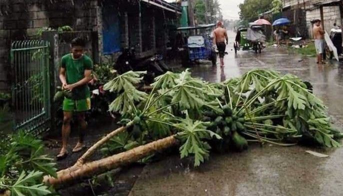 Tornado hits Northern Samar town