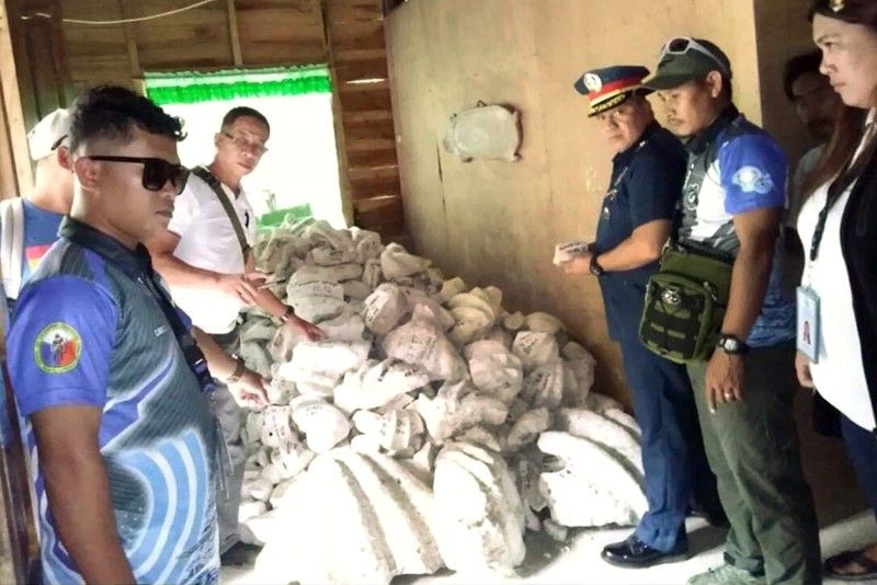 P28 Million giant clams seized in Negros Occidental