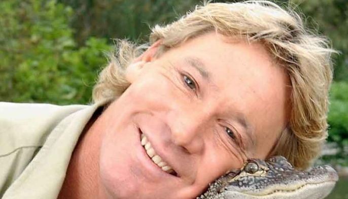 Marlins apologize for Steve Irwin tweet after loss to Rays